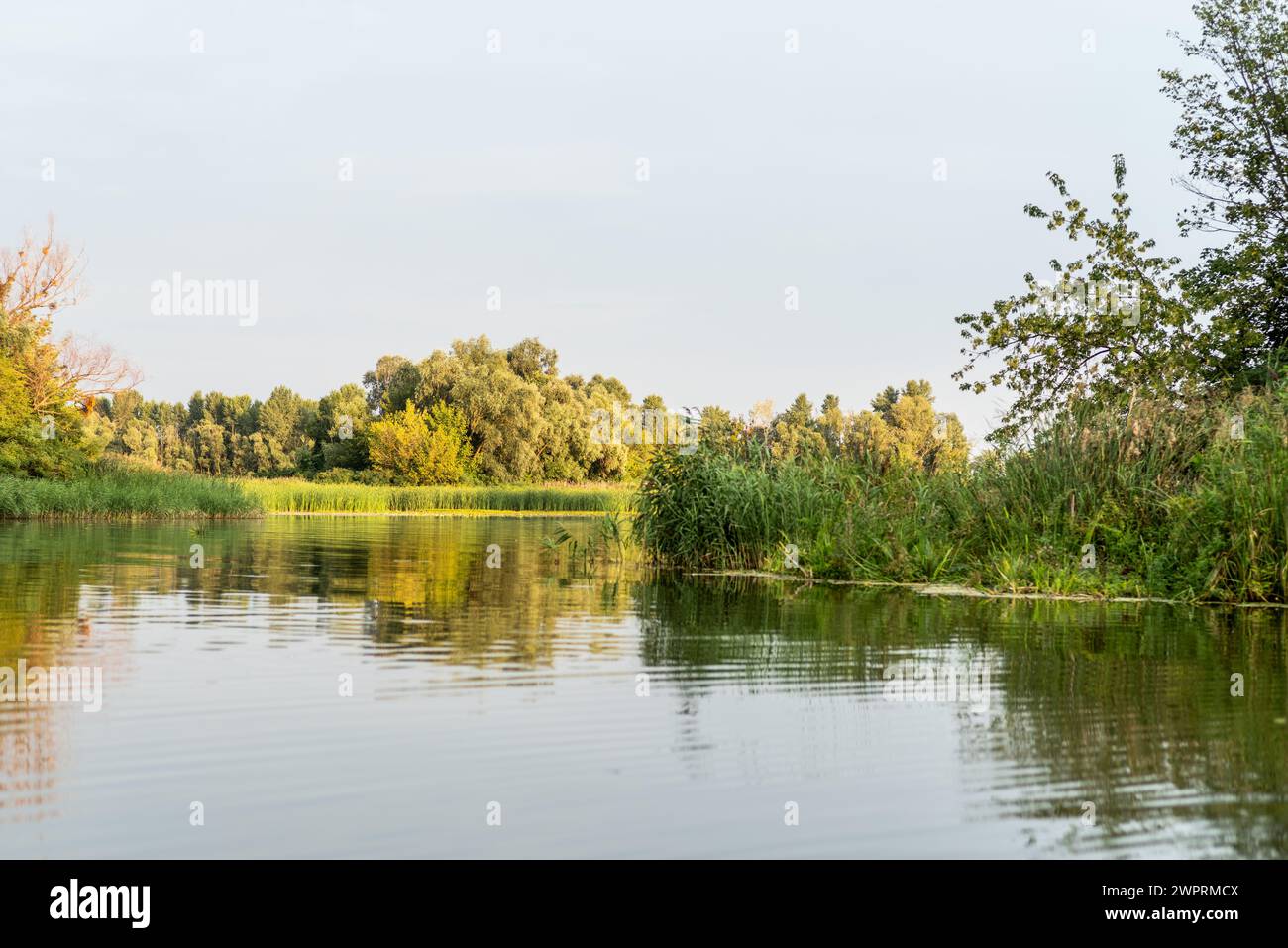 Nature and lake. Natural landscape with trees and lake. Passage from ...
