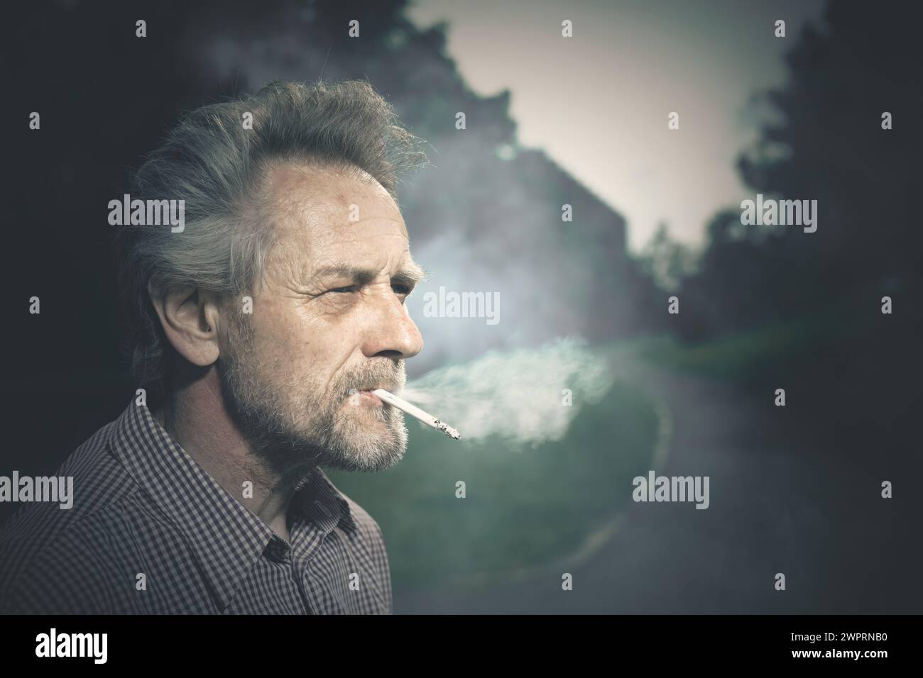 smoking a lot of cigarettes lately People smoking cigarettes hi-res stock photography and images
