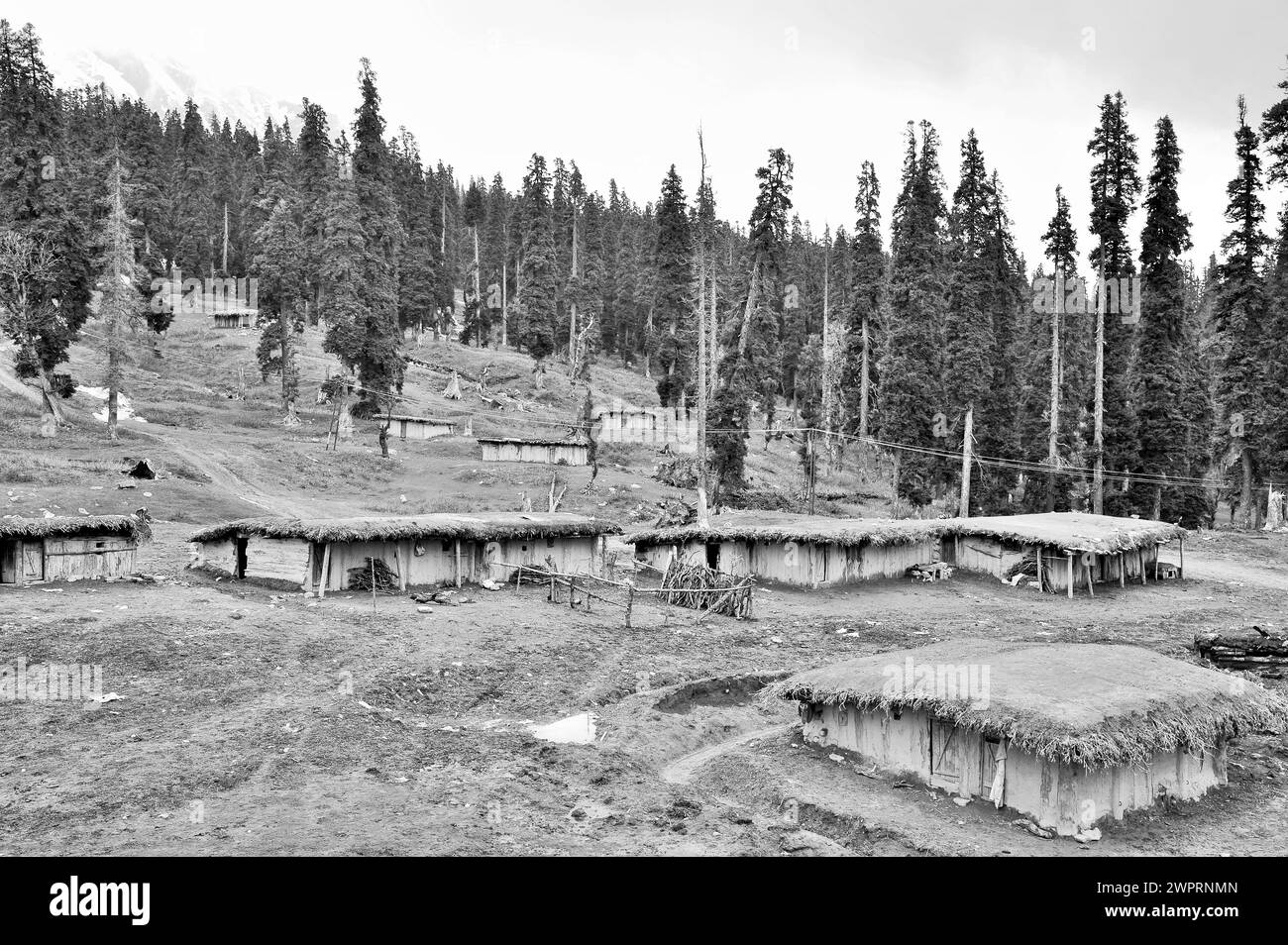 Houses, Kungdoor, Gulmarg, Baramulla, Kashmir, Jammu and Kashmir, India, Asia Stock Photo