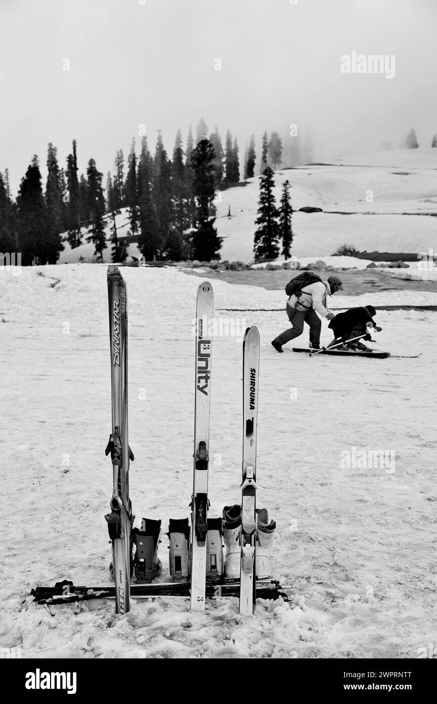Unity Skis, Kungdoor, Gulmarg, Baramulla, Kashmir, Jammu and Kashmir, India, Asia Stock Photo