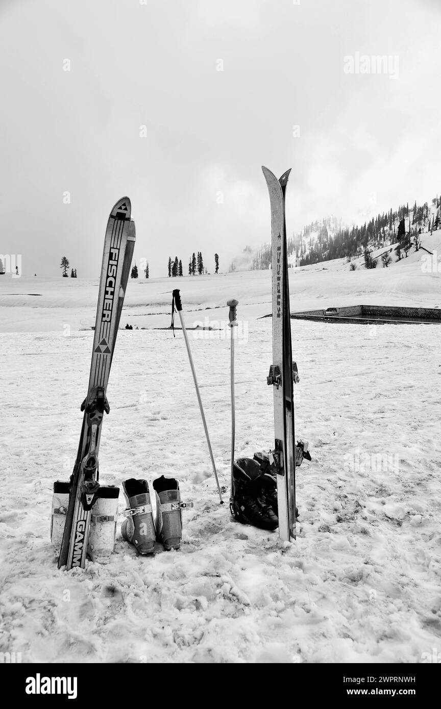Fischer Skis, Kungdoor, Gulmarg, Baramulla, Kashmir, Jammu and Kashmir, India, Asia Stock Photo