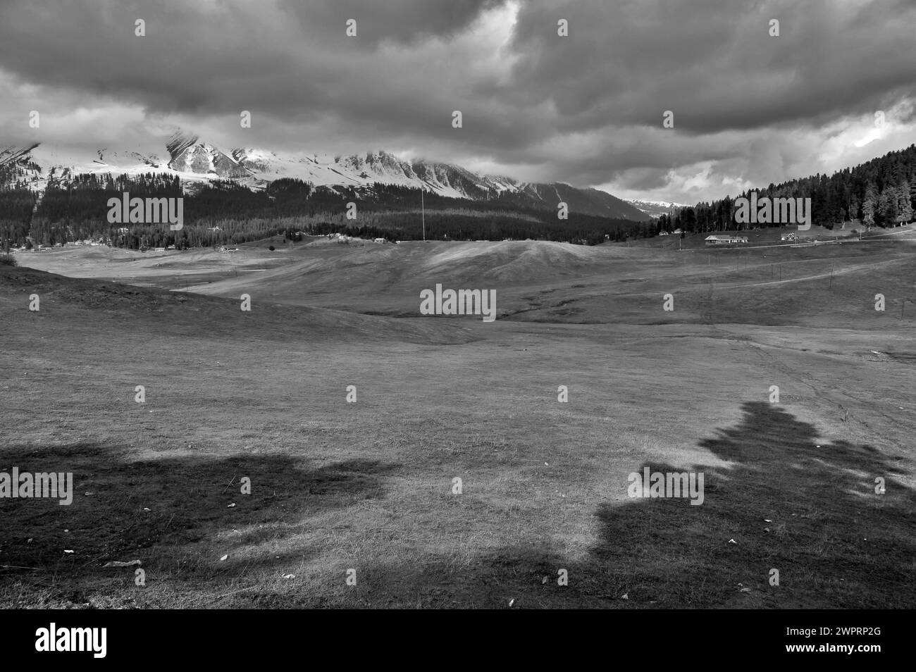 Golf Course, Gulmarg, Baramulla, Kashmir, Jammu and Kashmir, India, Asia Stock Photo