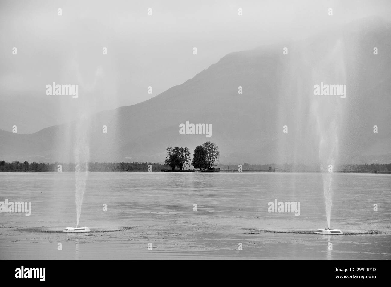 Char Chinar trees, Water Fountains, Dal Lake, Srinagar, Kashmir, Jammu and Kashmir, India, Asia Stock Photo