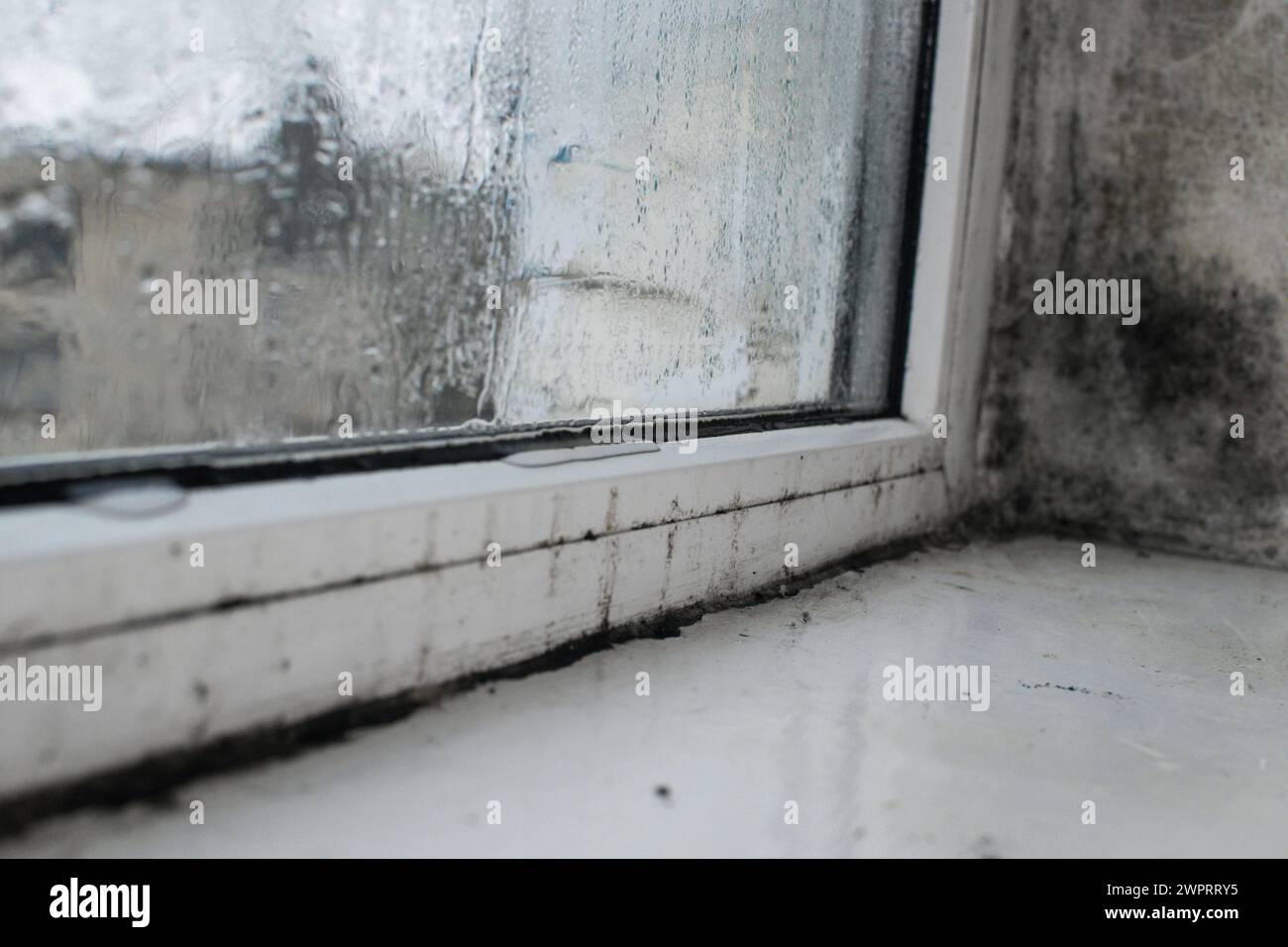 Humid Glass Mold near the plastic window due to humidity. wet glass Stock Photo - Alamy