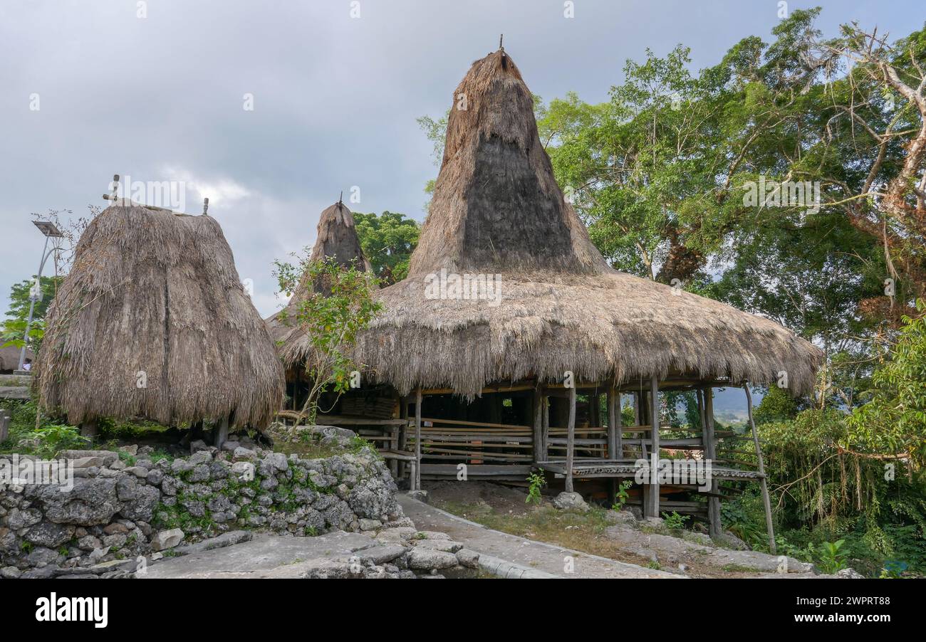 Landscape view of traditional thatched roof house on stilts in Tarung Waitabar village, Waikabubak, West Sumba island, East Nusa Tenggara, Indonesia Stock Photo