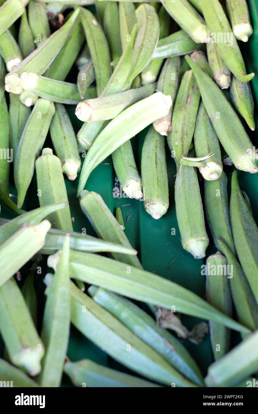 Fresh green Okras (Ladies' Fingers) fruits for sale at a greengrocers, UK Stock Photo