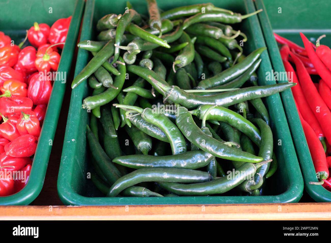 Fresh chillies for sale at greengrocers shop. Stock Photo