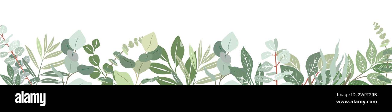 Art Border made from Eucalyptus branches, leaves. Stock Vector