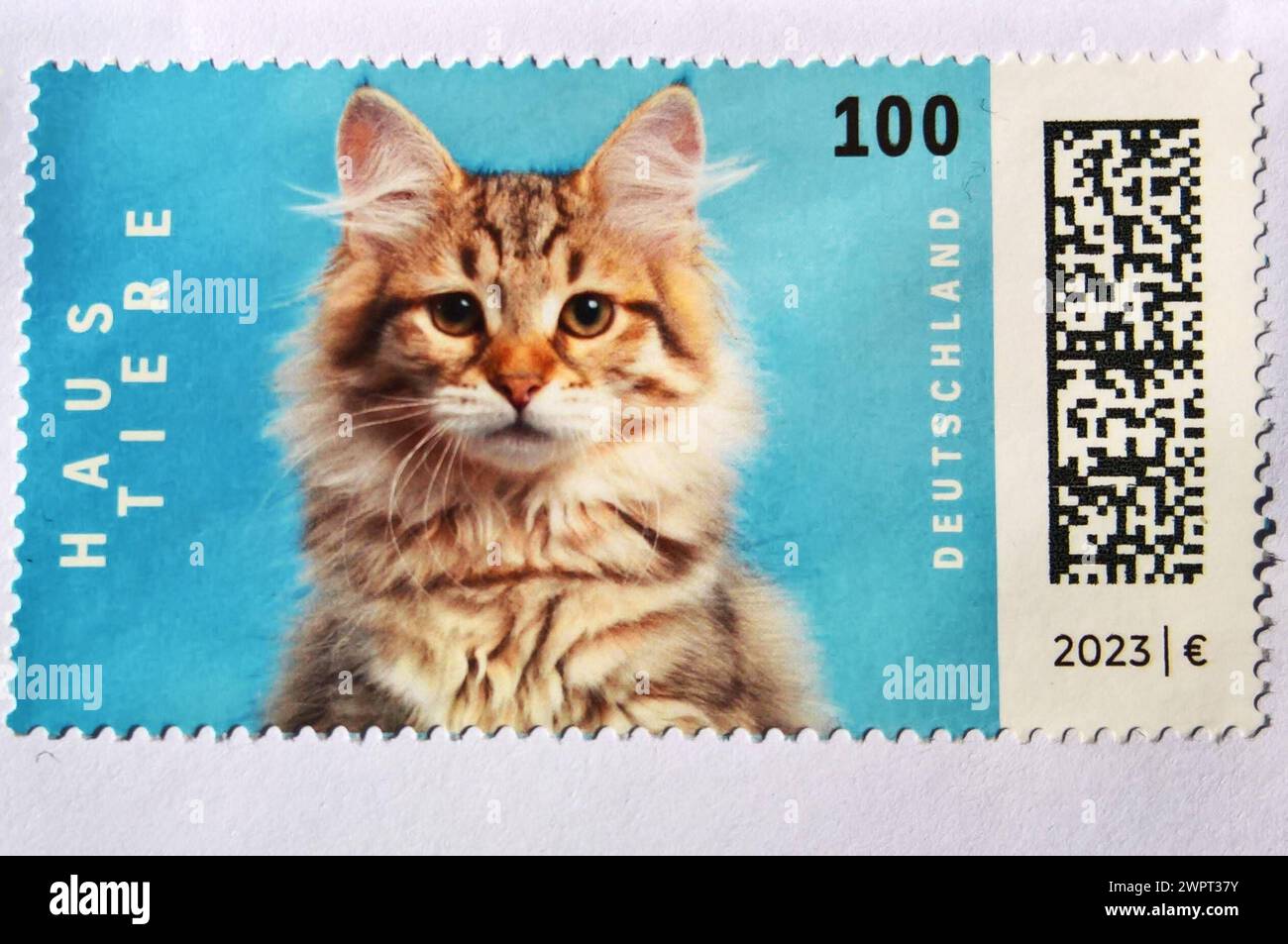 100 cent hi-res stock photography and images - Alamy