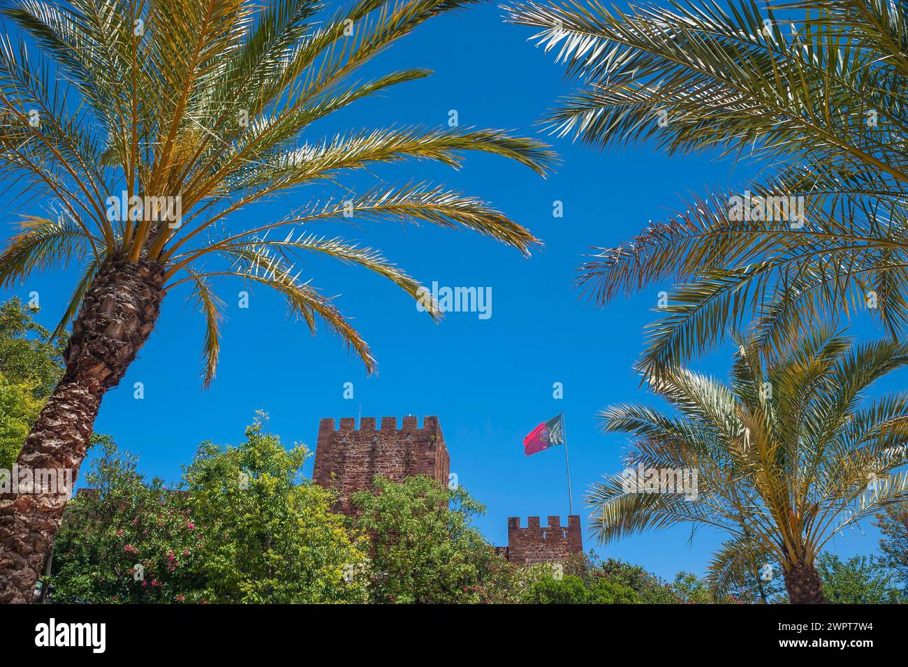 The castle of Silves with Portuguese national flag, building, old, history, palm tree, blue sky, Middle Ages, Moorish, Moors, historical, history Stock Photo