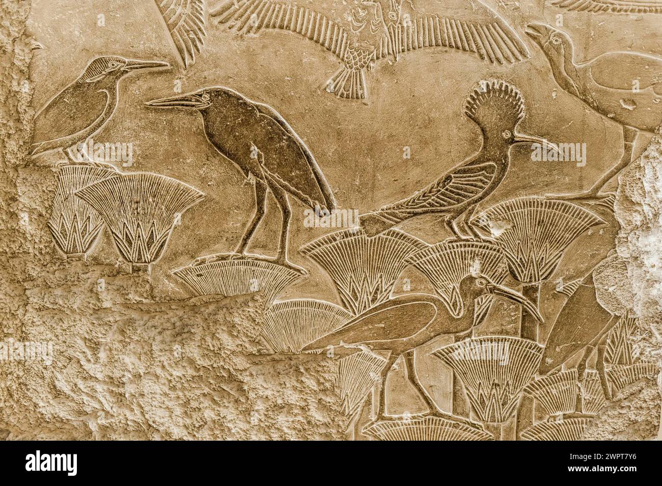 Hieroglyphics on a stone slab, birds, animal, ibis, message, drawing, Egyptian, kingdom, antiquity, world history, history, tradition, culture Stock Photo