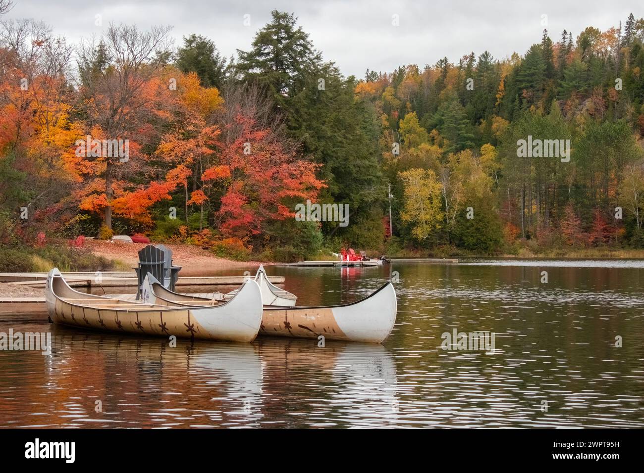 two canoes on a small lake in Ontario Canada as the fall autumn colours on the trees come through red orange and yellow in background and red chairs Stock Photo