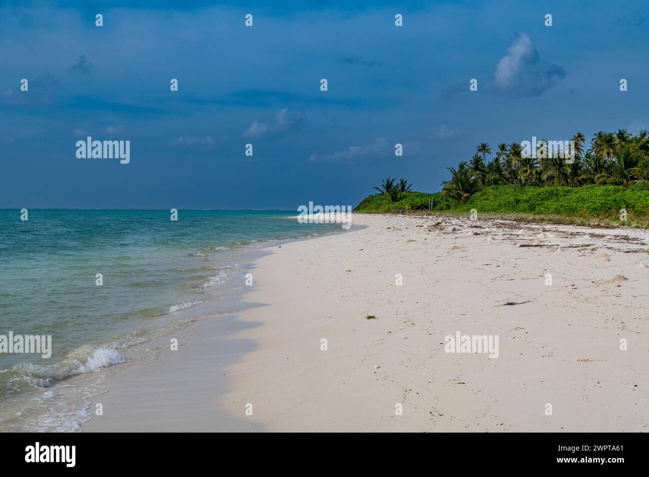 White sand beach, Tinnakara island, Lakshadweep archipelago, Union territory of India Stock Photo