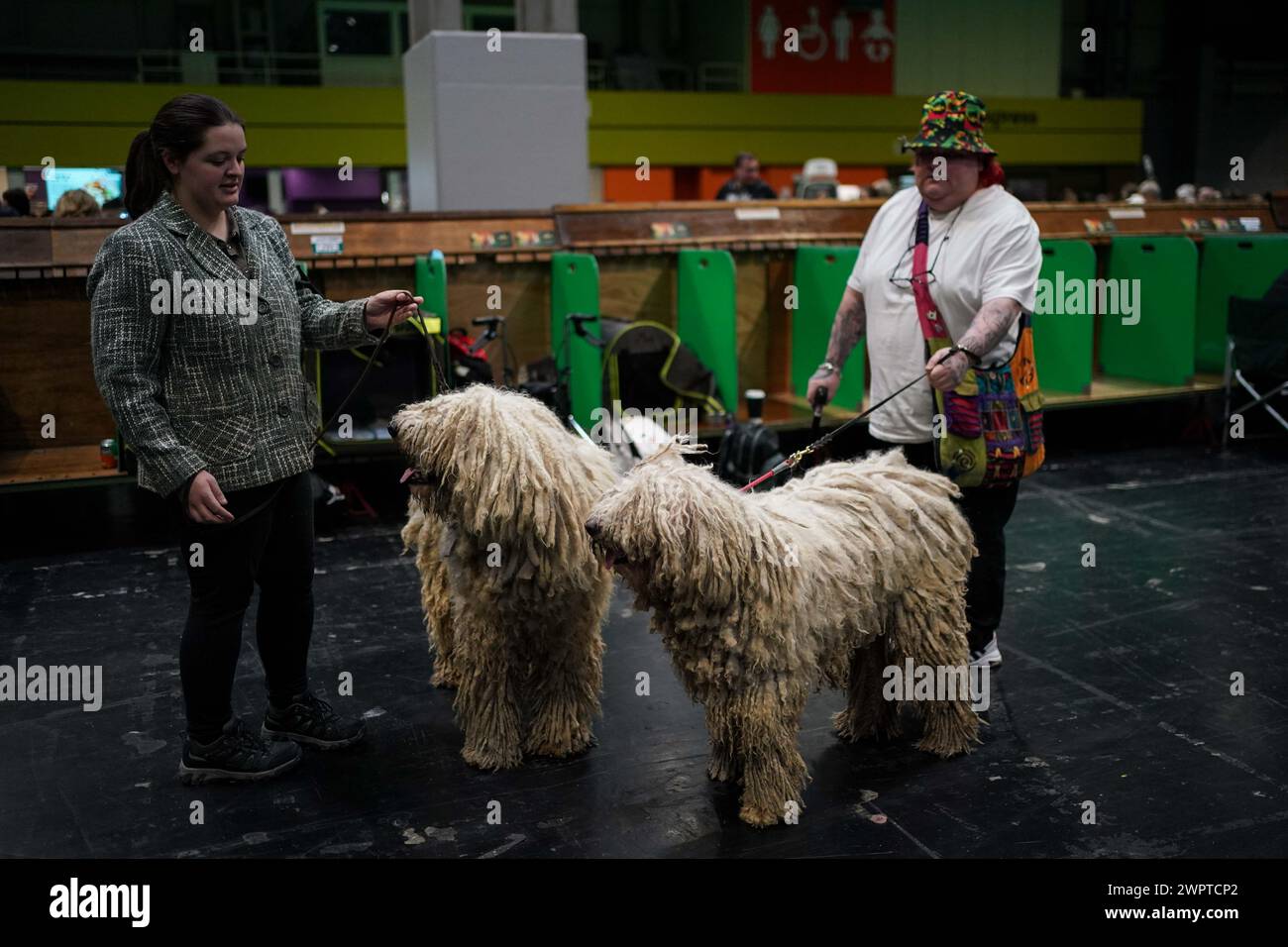 Owners with their Hungarian Puli during day three at the Crufts Dog Show at the National Exhibition Centre (NEC) in Birmingham. Picture date: Saturday March 9, 2024. Stock Photo