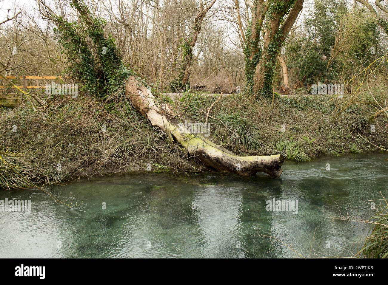 Lewes East Sussex Stock Photo