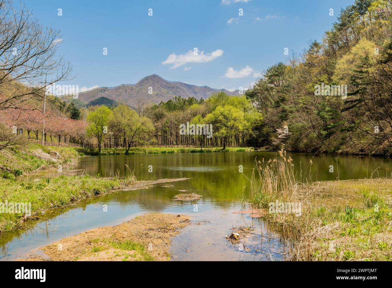 Serene lake view with lush greenery and distant mountains under a clear ...