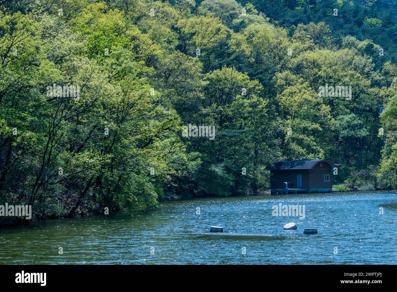 Cabin by a lake surrounded by dense forest and quiet waters, in South ...