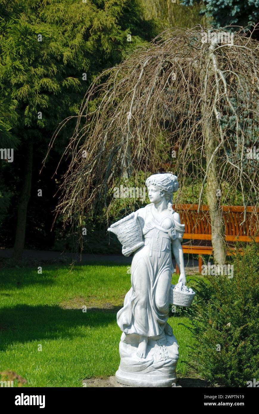 Statue (Fagus sylvatica Purpurea Pendula), Christiansberg Botanical Garden, Luckow, 81 Stock Photo