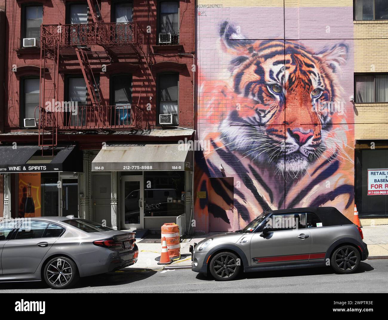 Handpainted mural with tiger head, in front of a mini convertible