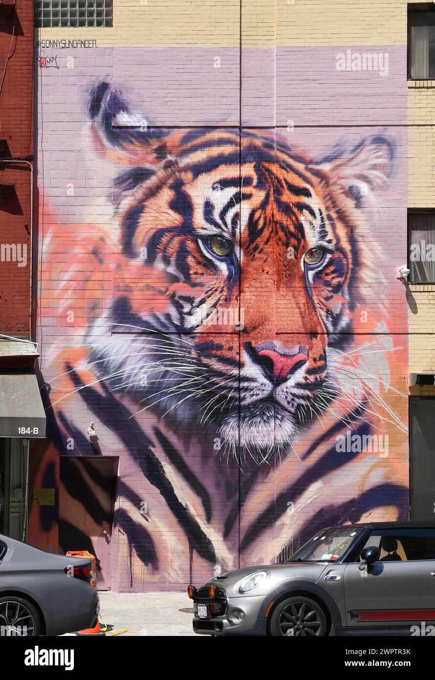 Handpainted mural with tiger head, SoHo neighbourhood, Manhattan, New