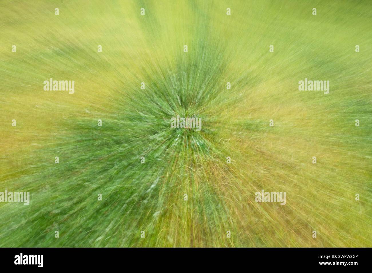 Field movement hi-res stock photography and images - Alamy