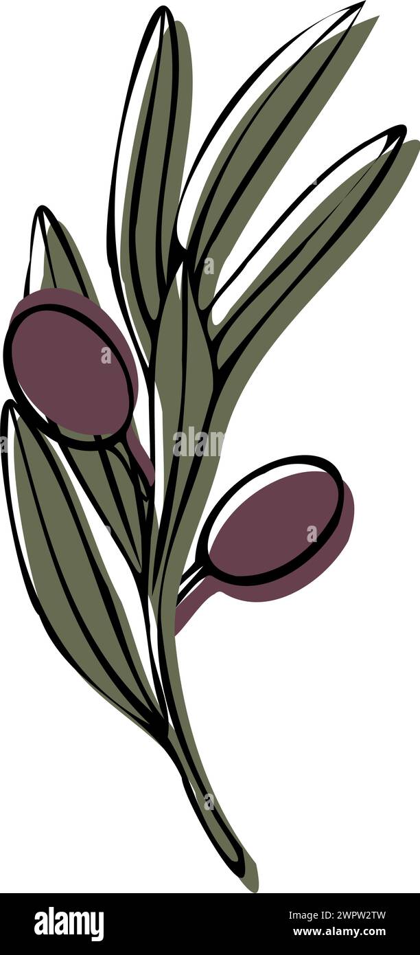 Vector olive tree branch with leaves and olives fruit. Hand painted ...
