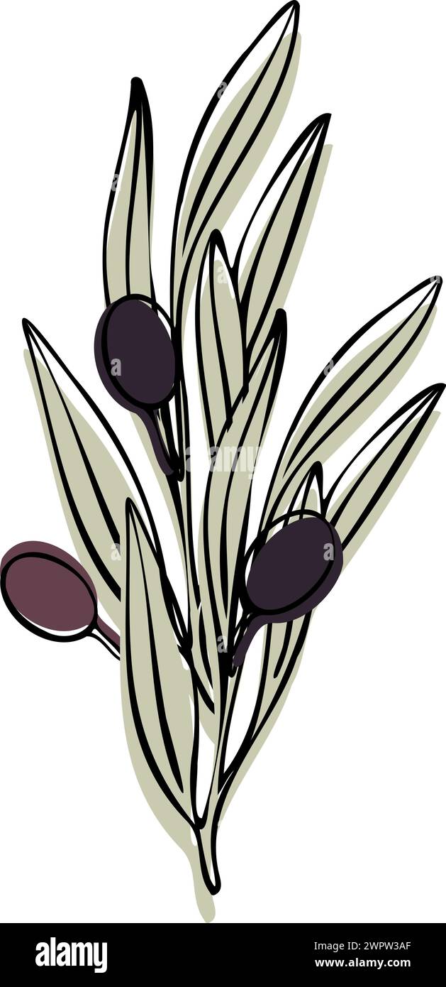 Vector olive tree branch with leaves and olives fruit. Hand painted ...
