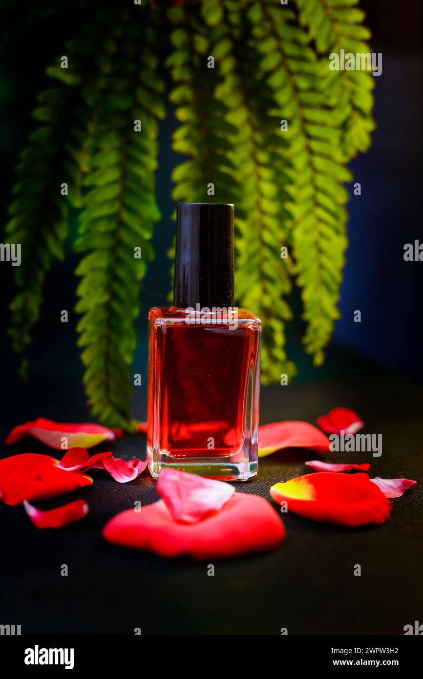 Said View of The Pink Color nail polish on pink rose petals on closup Stock Photo