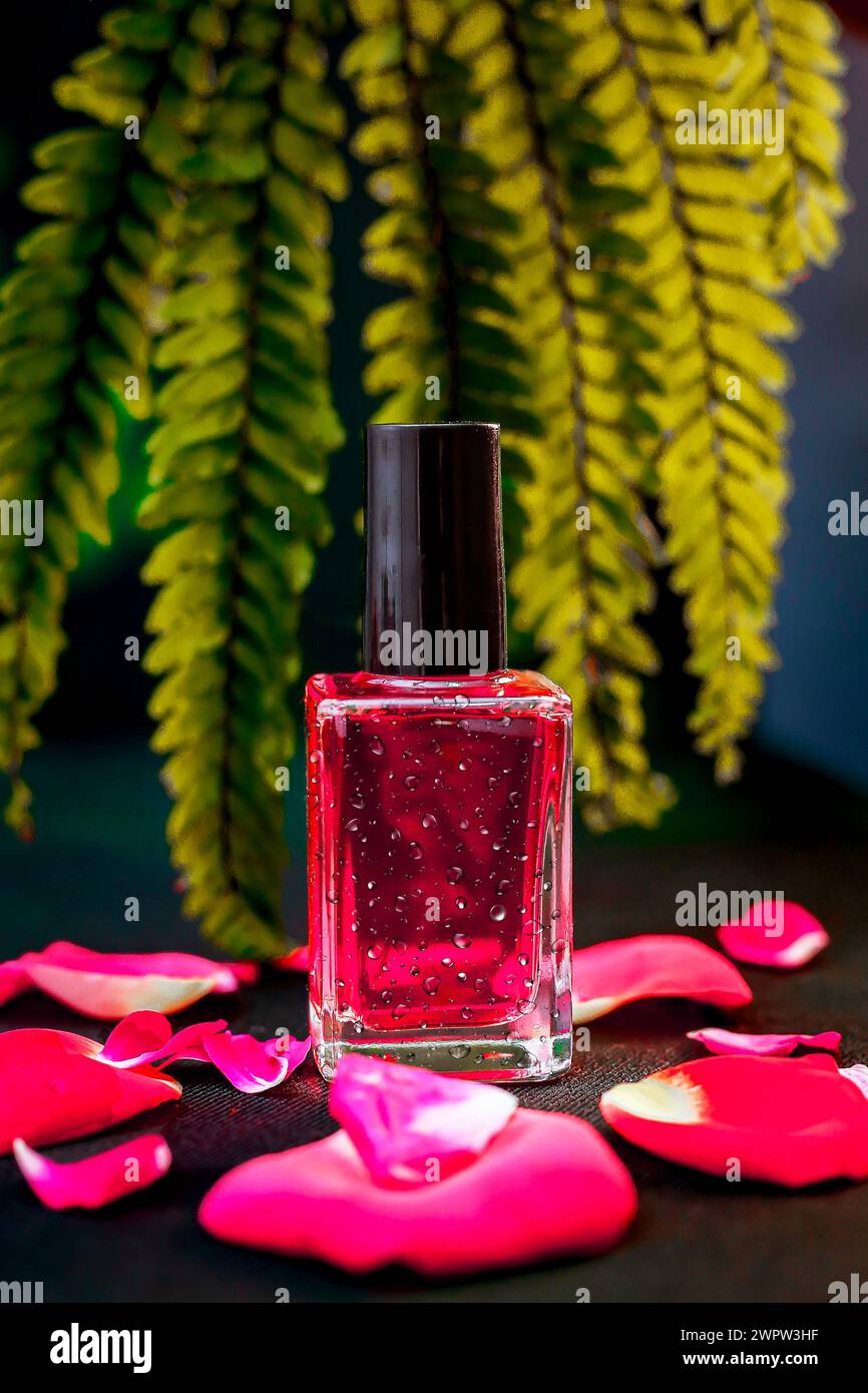 Said View of The Pink Color nail polish on pink rose petals with water drop Stock Photo