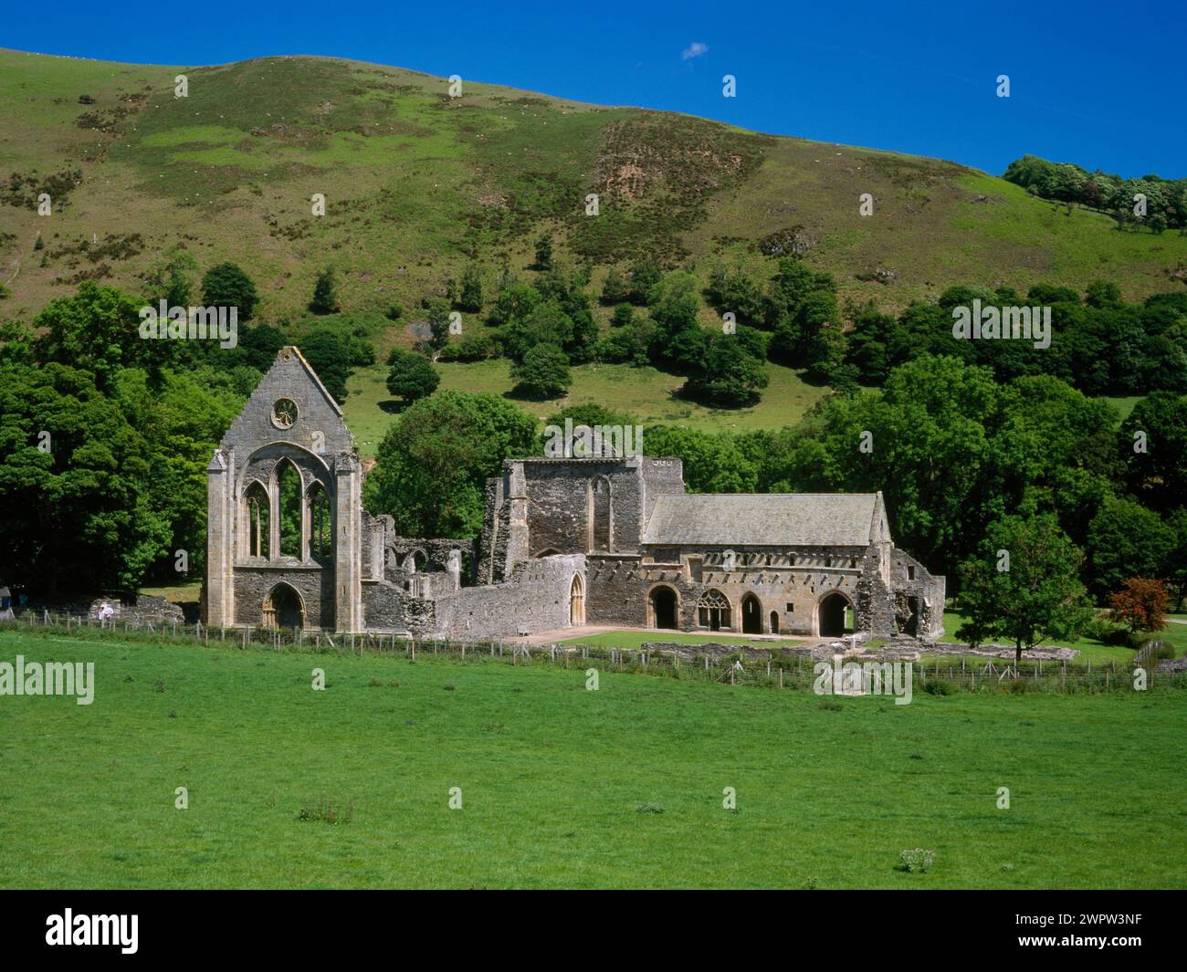 Valle Crucis Abbey, Langollen, Denbighshire. View from road Stock Photo