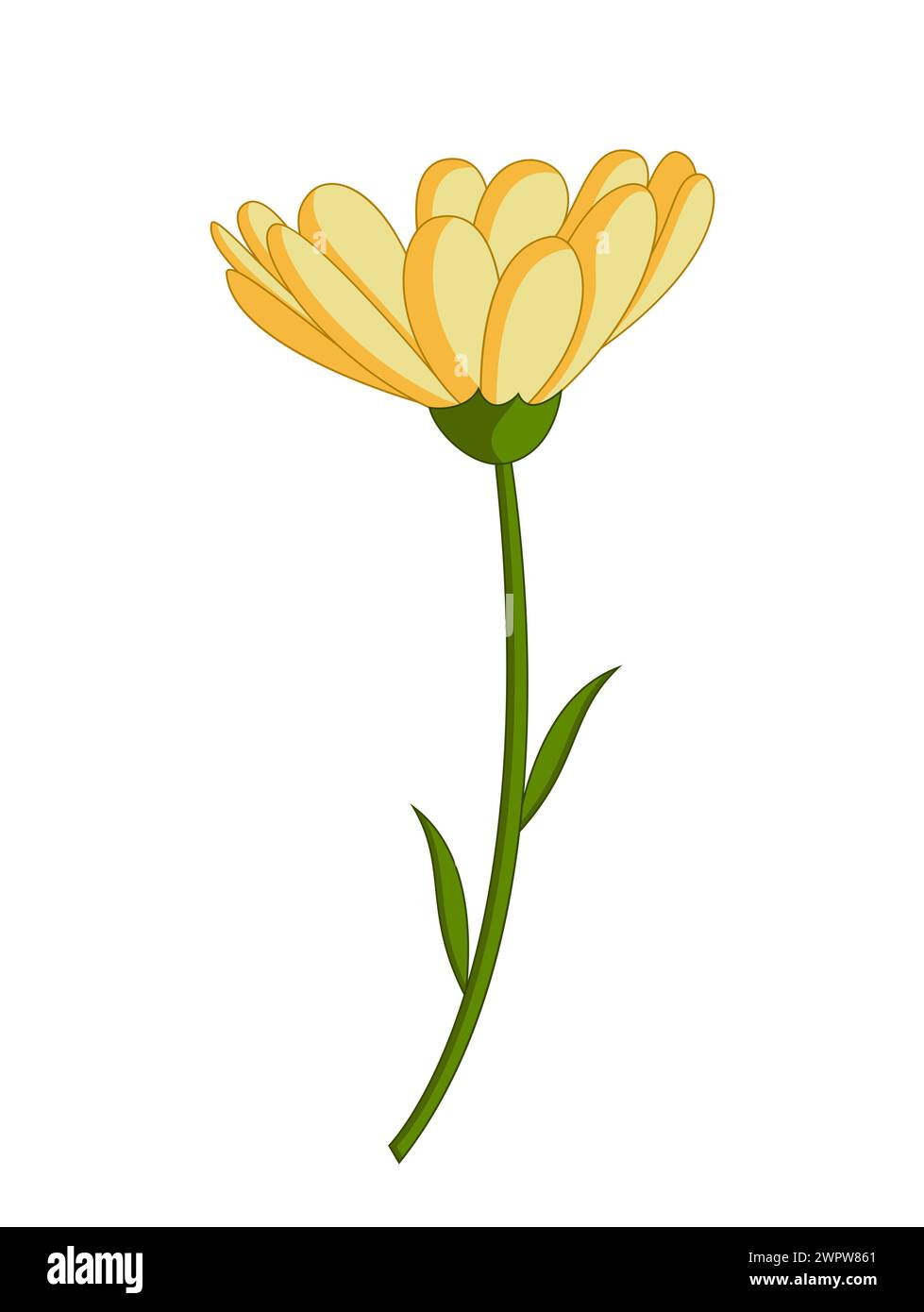 Cartoon daisy flower image hi-res stock photography and images - Alamy