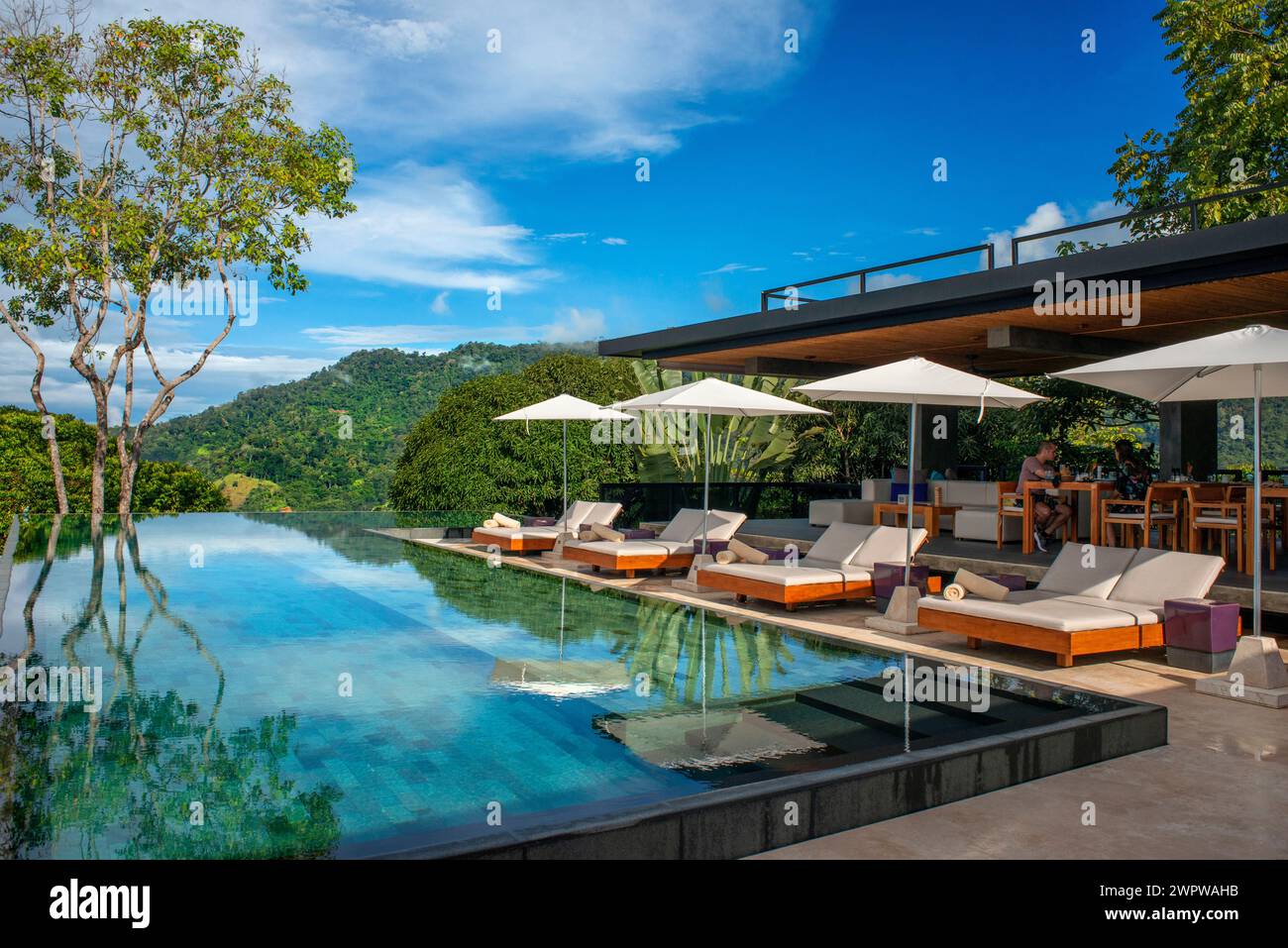 swimming pol Costa Rica, Osa peninsula, contemporary design suite of ...