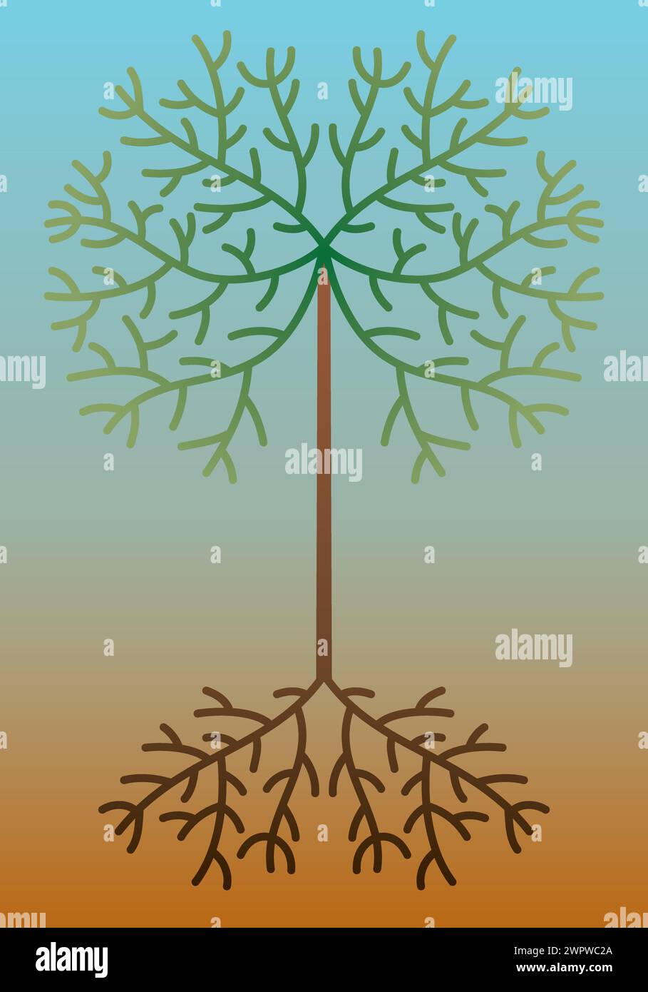 Tree root illustration abstract Stock Vector Images - Alamy