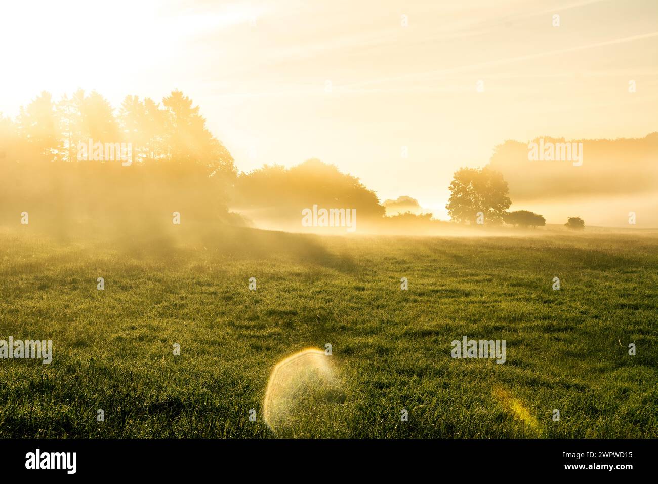 Beautiful sunrise in rural landscape with sun rays shining through the morning fog Stock Photo