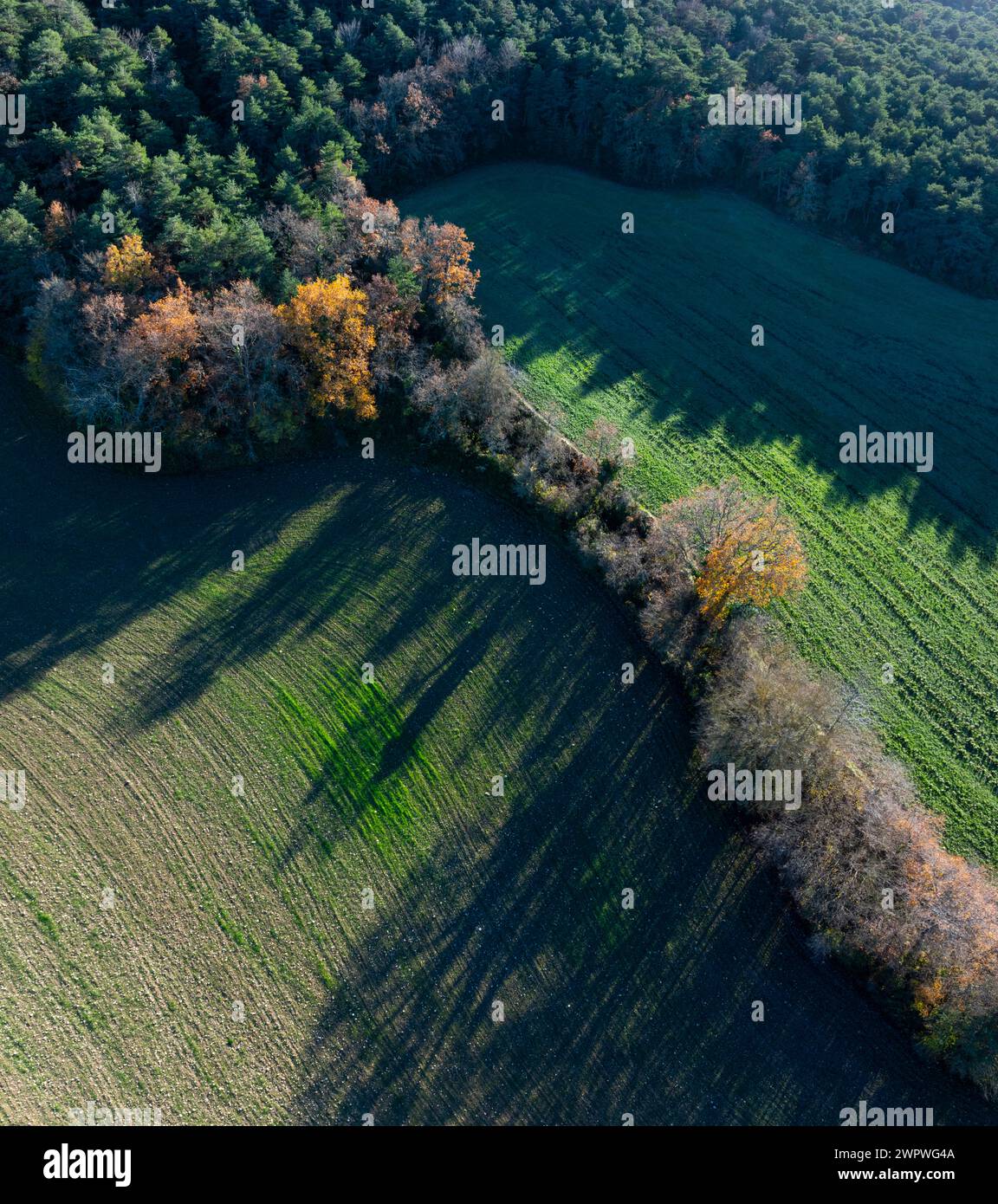 Aerial view from a drone of the winter landscape of forests and crops and surroundings of the town of Basabe de Valdegovoia. Valdegovia Valley. Alava. Stock Photo