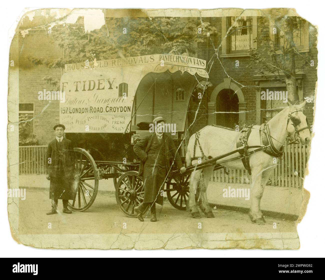 Original early 1900's postcard, Titanic era, Horse-drawn cart of  F Tidey Fruiterers & Greengrocer, potato saleman, & Household Removals Pantechnicon vans (a removals co.), poss advert. The shop premises were at 157 London Road, Croydon, London, U.K.  circa 1912 Stock Photo