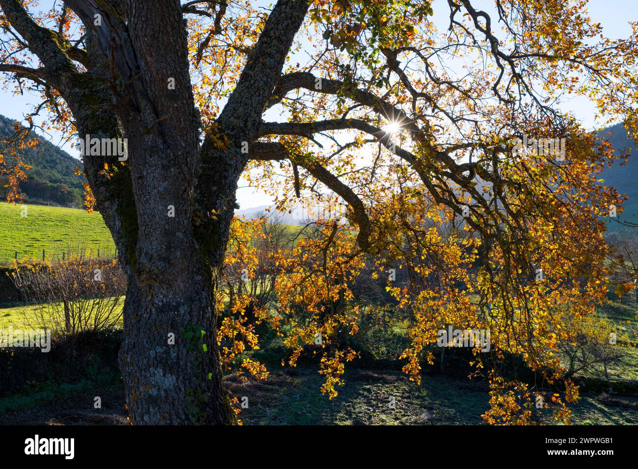 Autumn landscape in the town of Basabe de Valdegovia. Valdegovia Valley. Alava. Basque Country. Spain. Europe Stock Photo