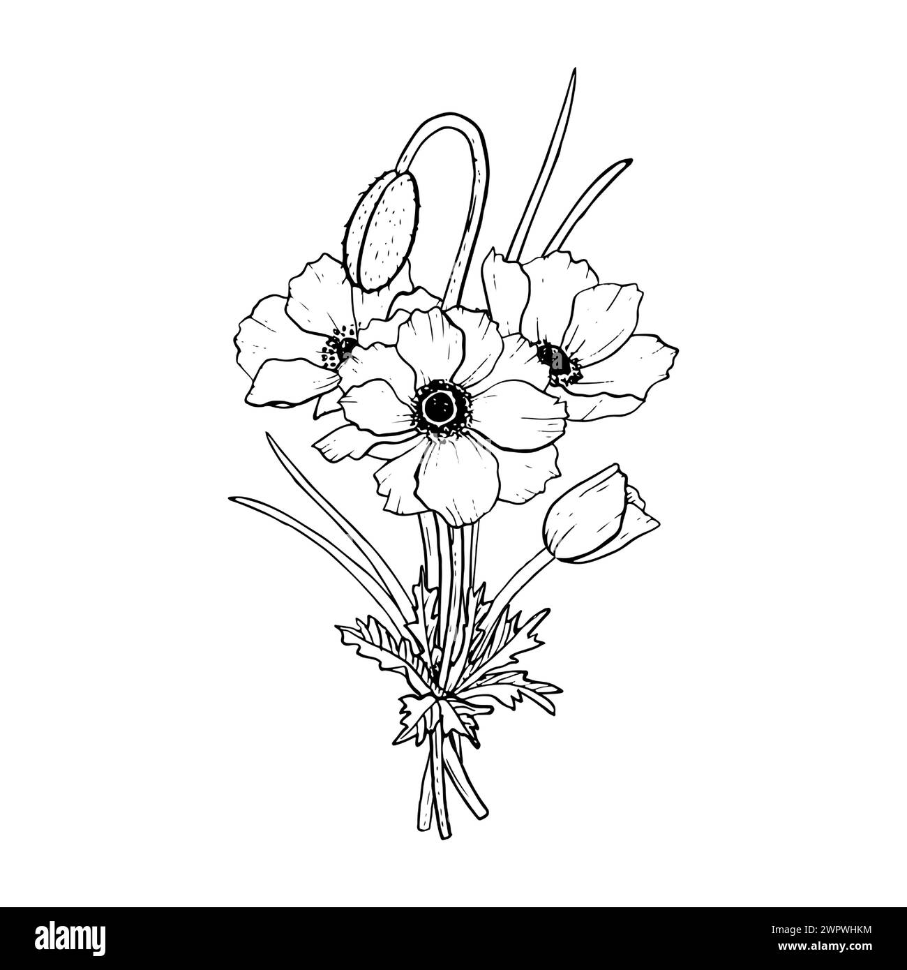 Bouquet of field poppies black and white sketch Stock Vector