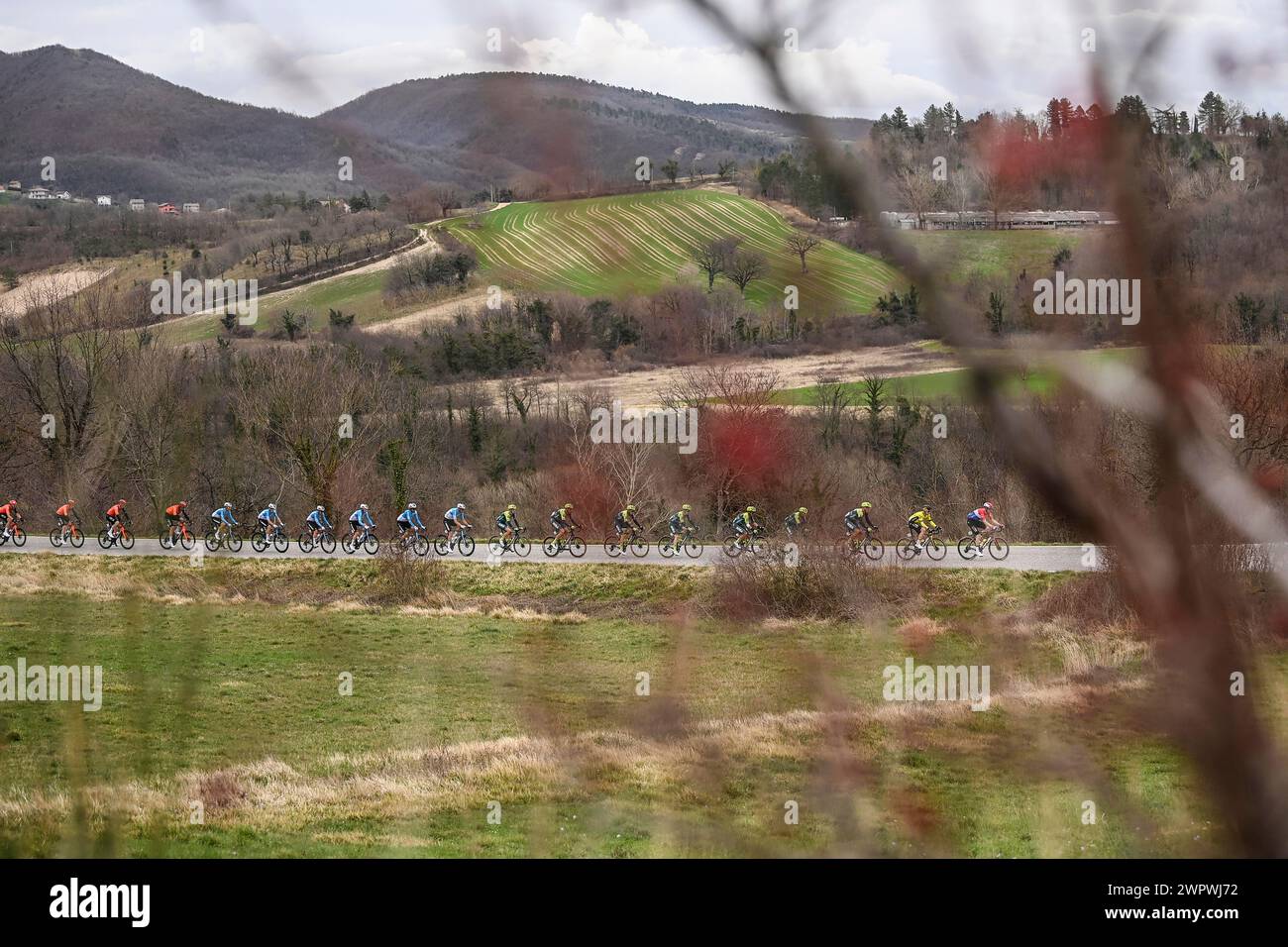 The pack rides during the 59th Tirreno-Adriatico 2024, Stage 6 a km from Sassoferrato to Cagli (Monte Petrano) on March 09, 2024 in Cagli (Monte Petrano), Marche, Italy. (Photo by Fabio Ferrari/LaPresse) Credit: LaPresse/Alamy Live News Stock Photo