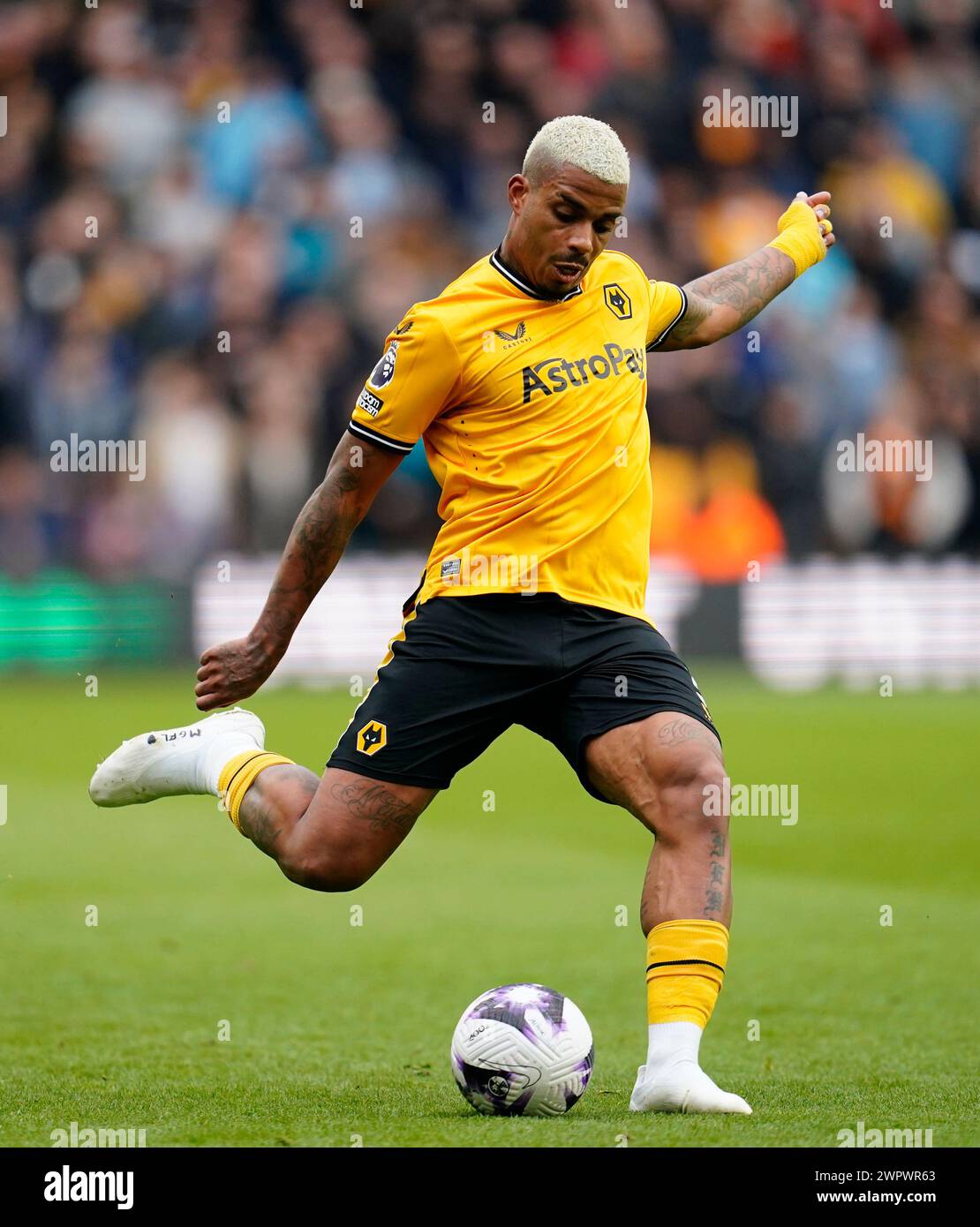 Mario lemina of wolves hi-res stock photography and images - Alamy