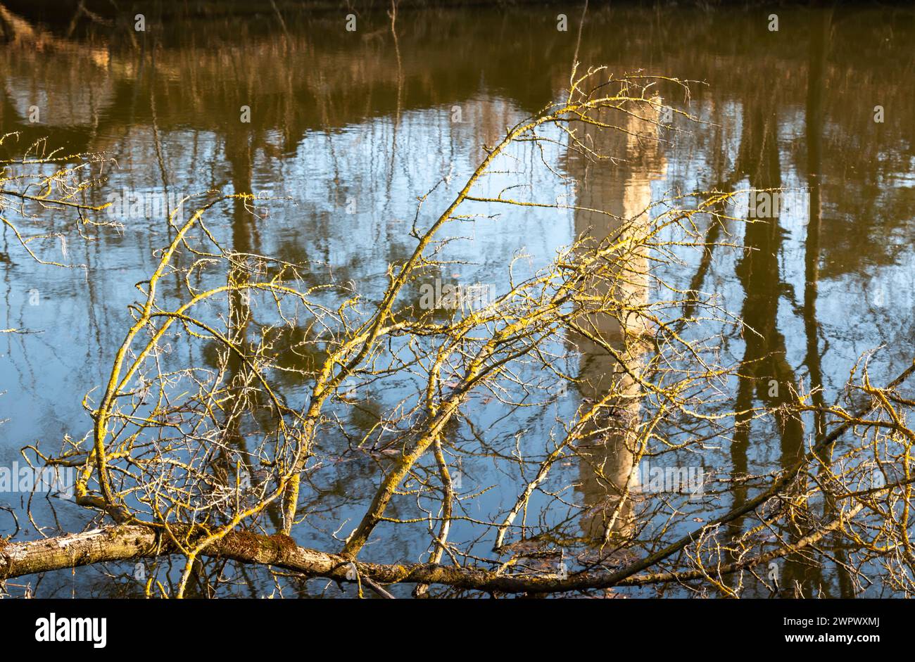 Sunny day in the late winter. Partly broken twigs in the river Dyje, reflecting a tower - minaret in a park. Lednice, Podivin, Morava, Czechia. Stock Photo