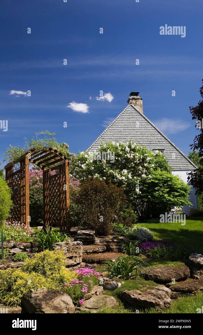 Wooden arbour with a Physocarpus opulifolius 'Summer Wine' - Ninebark, Syringa vulgaris 'Madame Lemoine' - Lilac shrubs including Chamaecyparis. Stock Photo