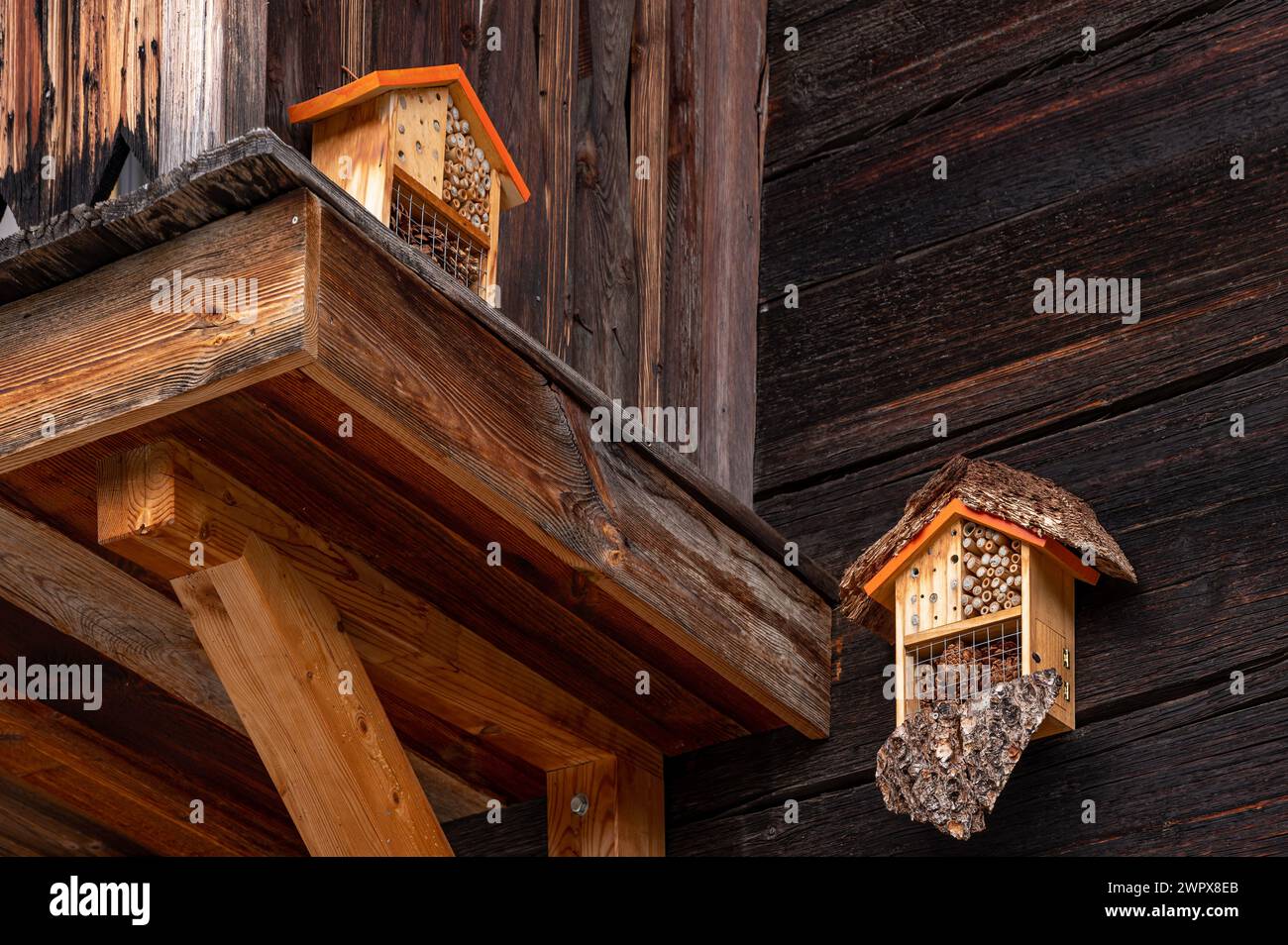 Insect houses on a wooden wall. Bug hotel in Switzerland. Outdoors. Stock Photo