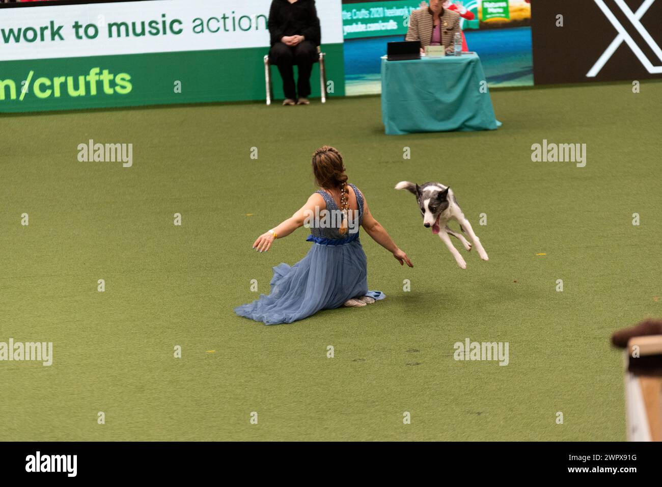 CRUFTS 2024 MAIN ARENA INTERNATIONAL FREESTYLE HEELWORK TO MUSIC FINAL