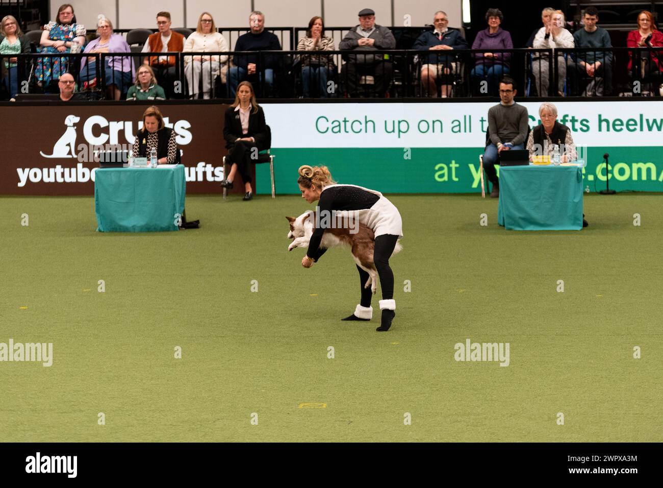 CRUFTS 2024 MAIN ARENA INTERNATIONAL FREESTYLE HEELWORK TO MUSIC FINAL