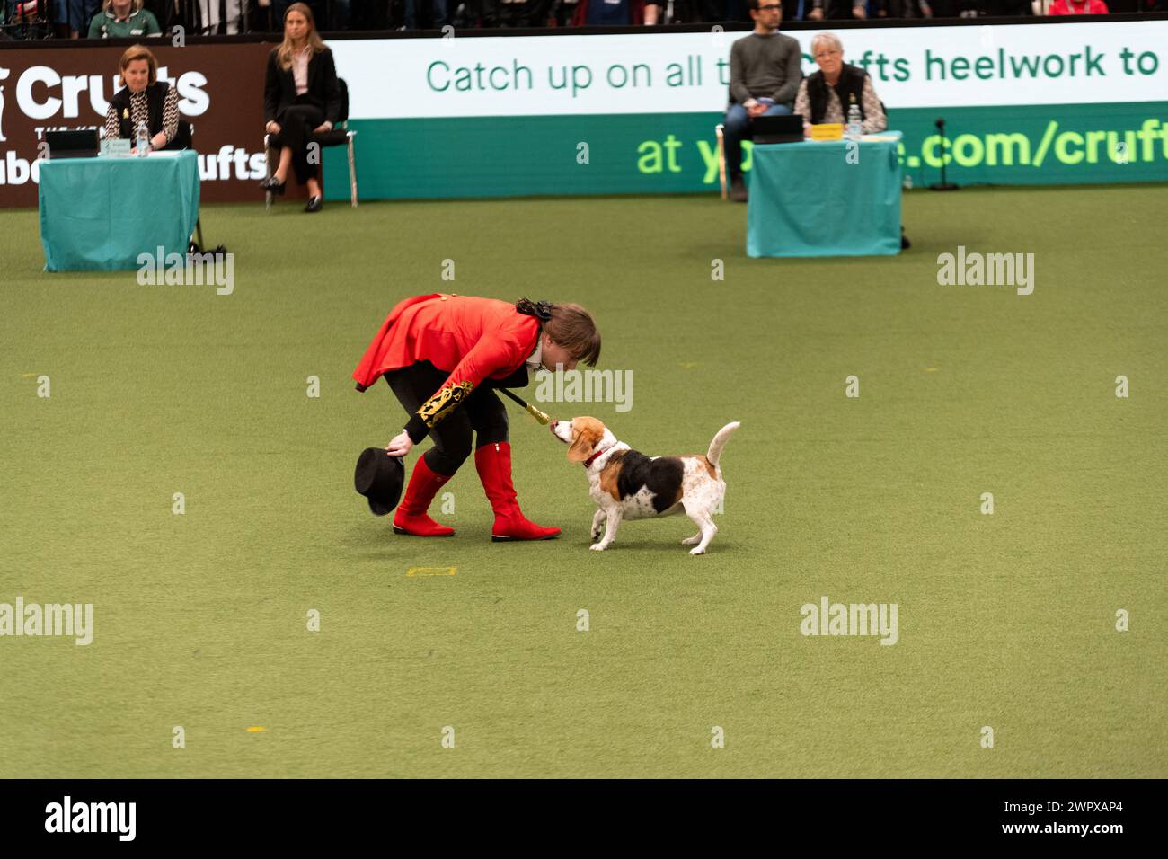 CRUFTS 2024 MAIN ARENA INTERNATIONAL FREESTYLE HEELWORK TO MUSIC FINAL
