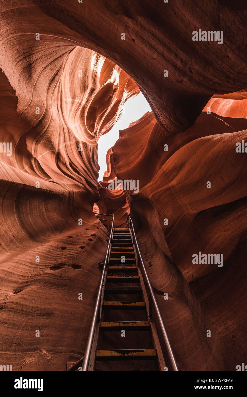 Ancient Navajo handholds to the left of a modern ladder in Lower