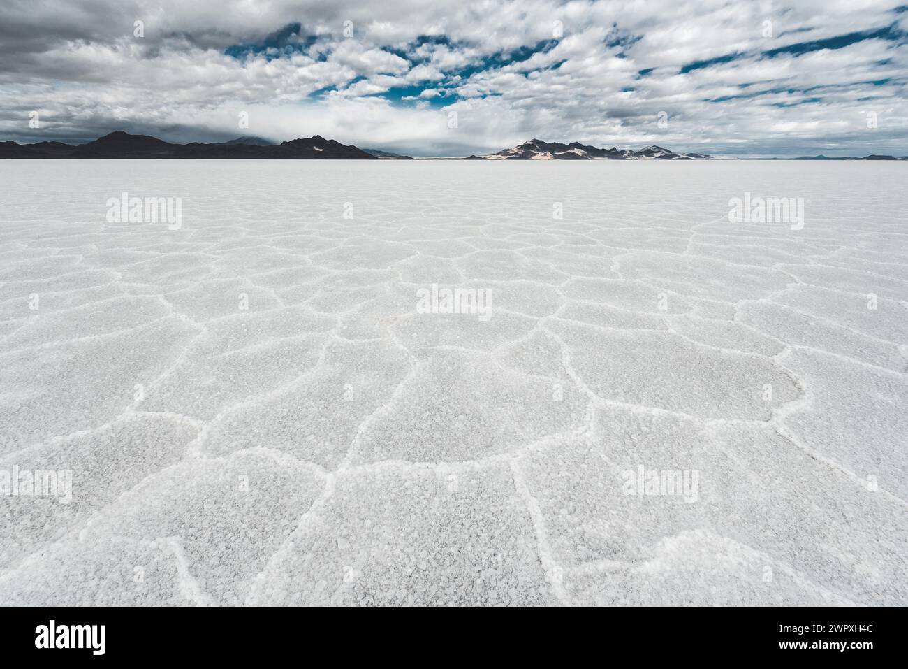 The dry salt pan of the Bonneville Salt Flats in Utah Stock Photo