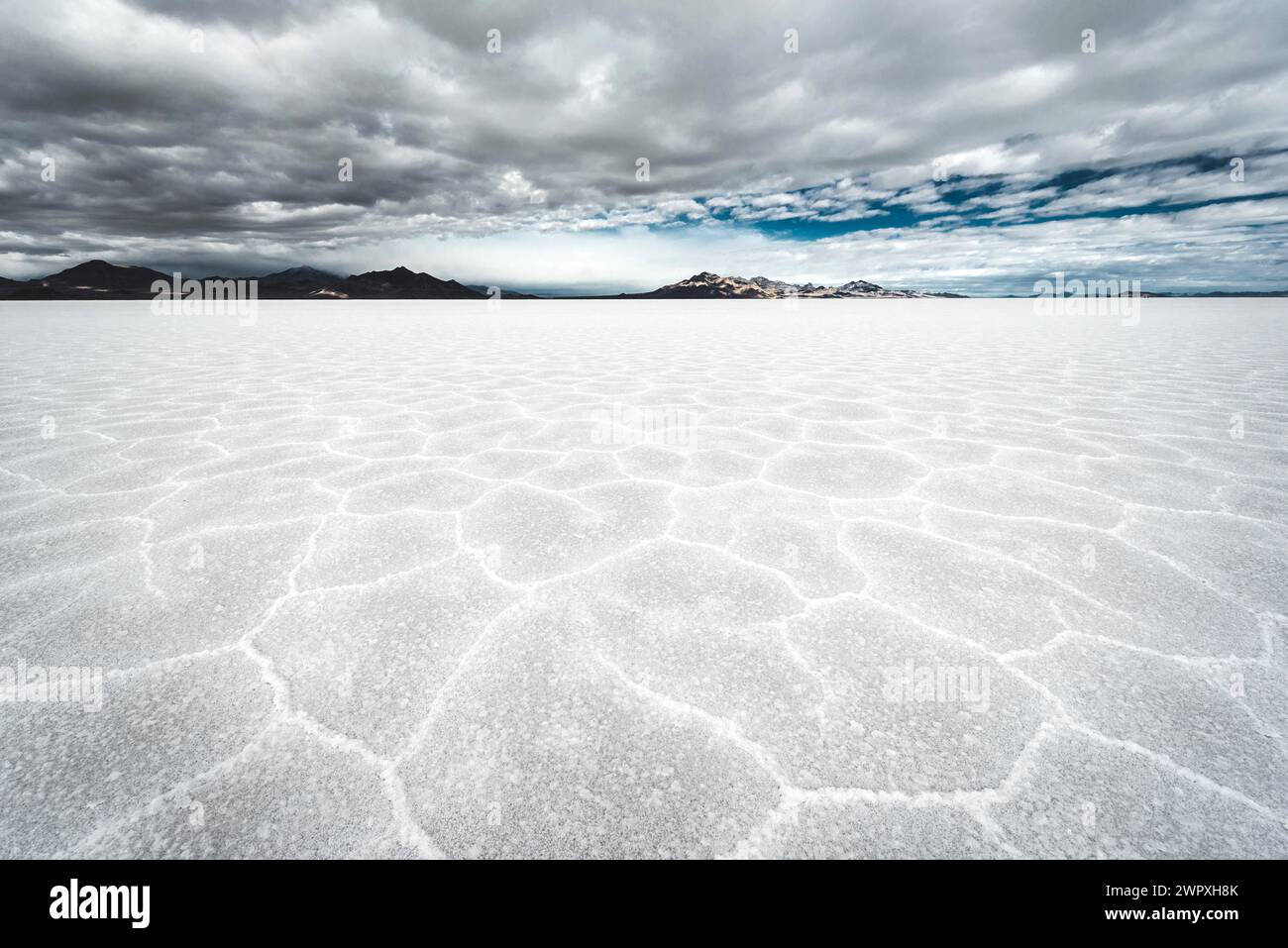 Cracked salt pan hi-res stock photography and images - Alamy