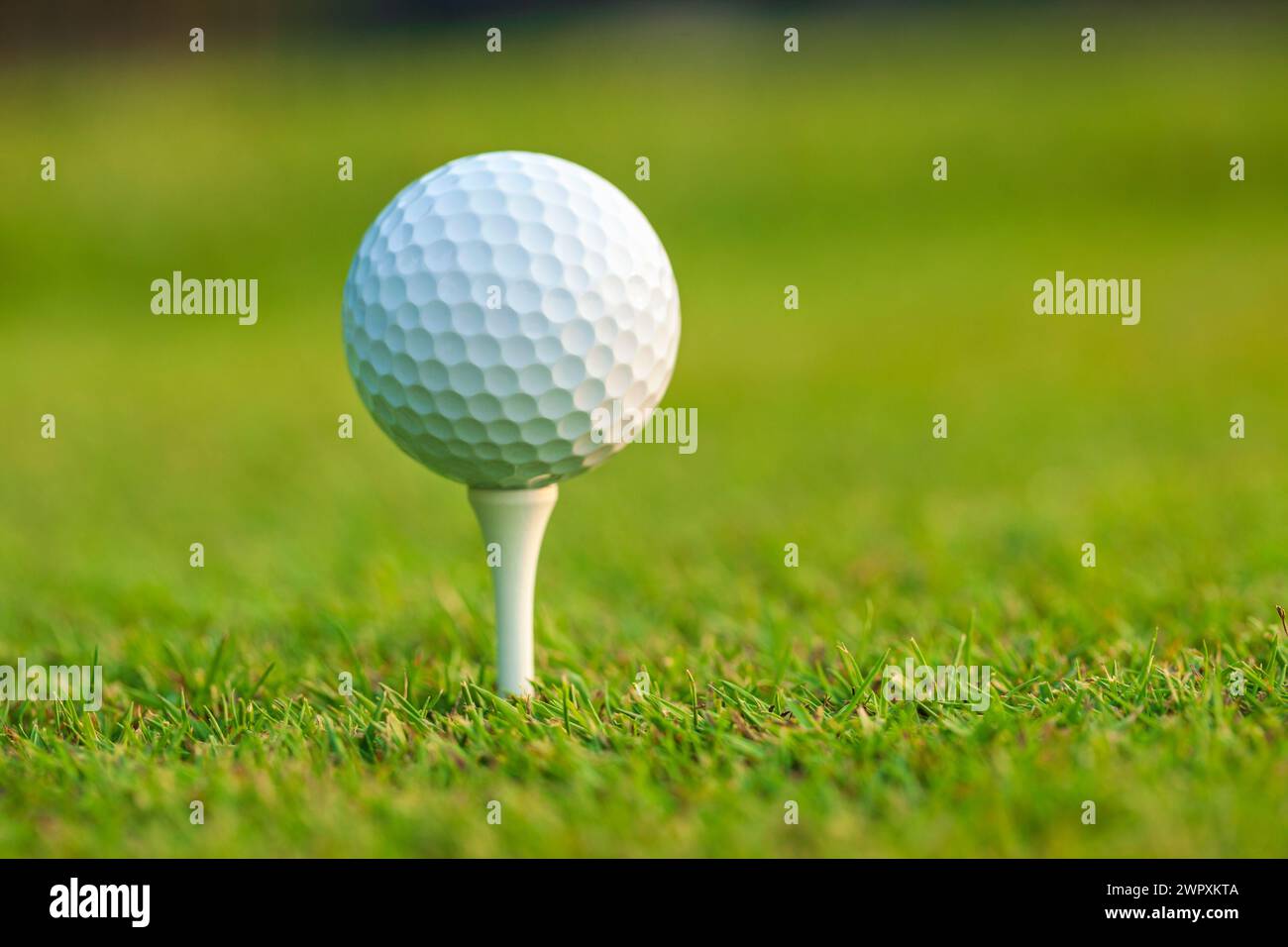 Low angle view of a golf ball on a tee in front of defocused background Stock Photo